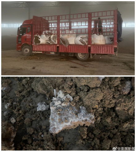影子暗訪丨起底毒營養土產業鏈（下） 固廢處置資質成空文，工業污泥借水泥車“洗白”入市
